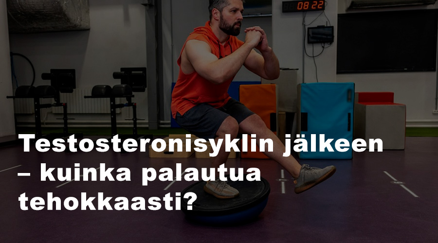 testosteronisyklin jälkeen palautuminen